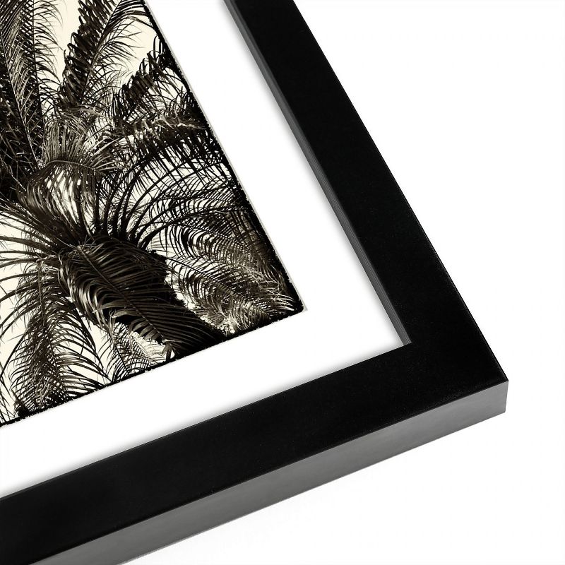 Americanflat Sepia Palm Tree - Set of 2 Framed Prints by Wild Apple