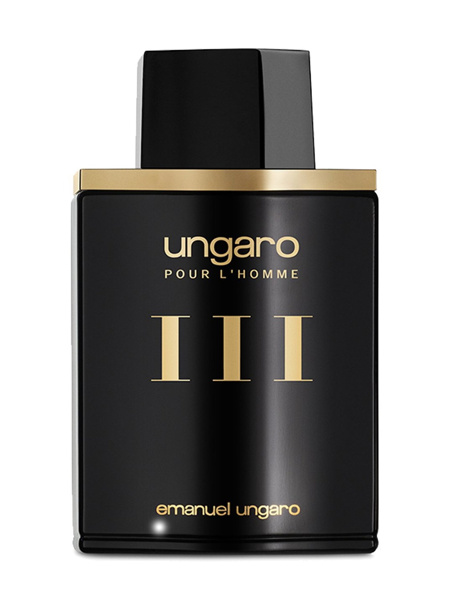 Emanuel Ungaro Pour L' Homme III Eau de Toilette - 100 ml