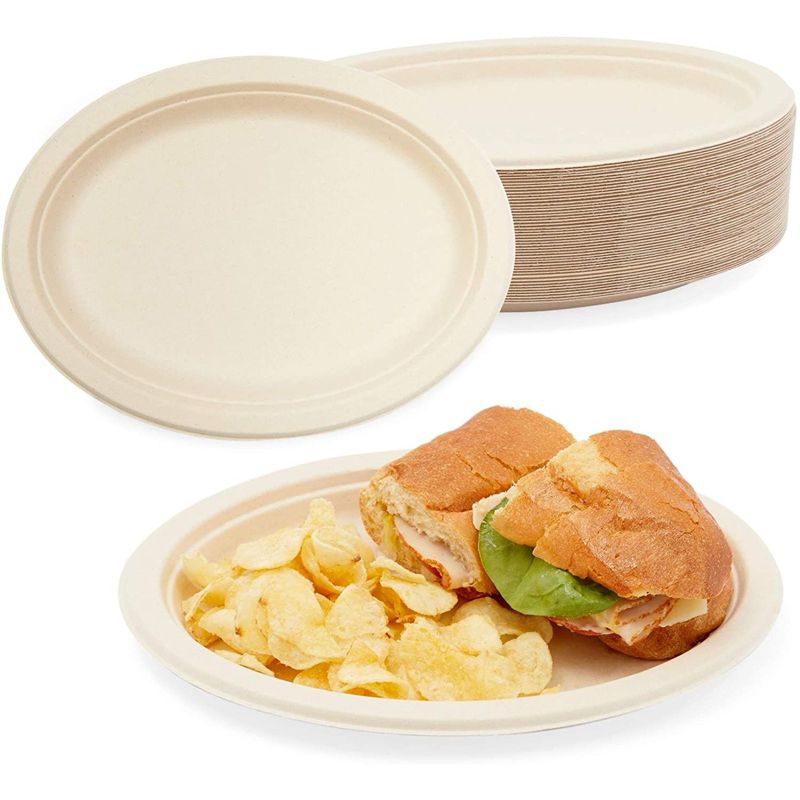 Okuna Outpost 50 Pack Sugarcane Bagasse Disposable Plates, Dinnerware for Birthday Party(10 x 8 In)