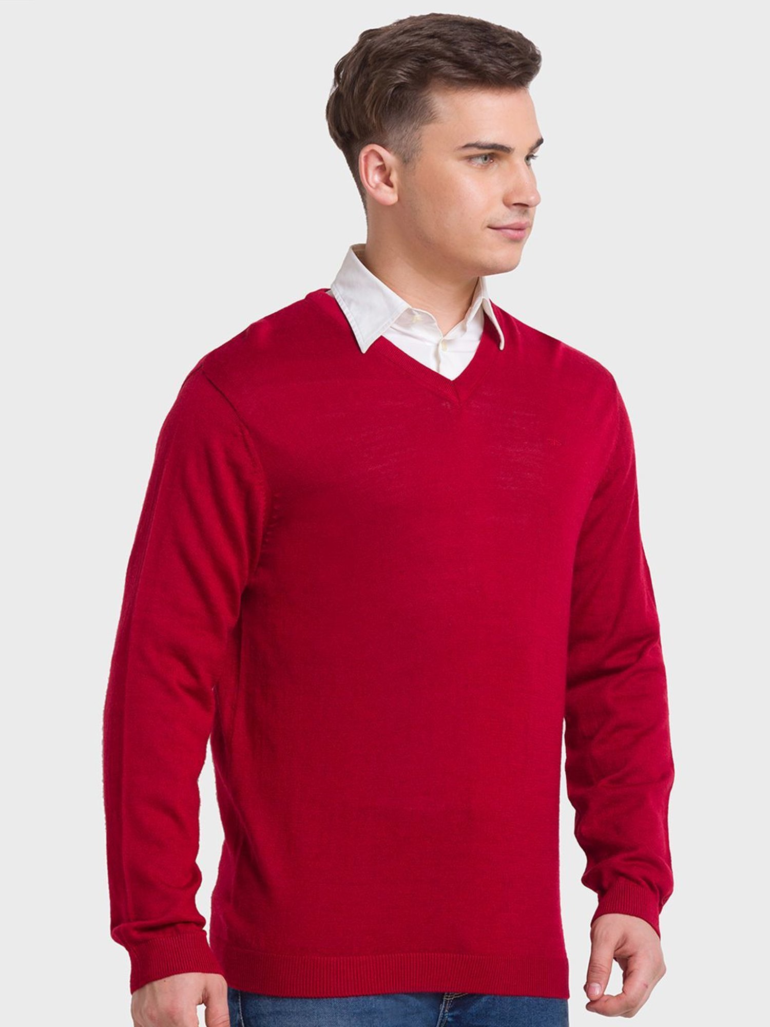 ColorPlus Red Tailored Fit Sweaters