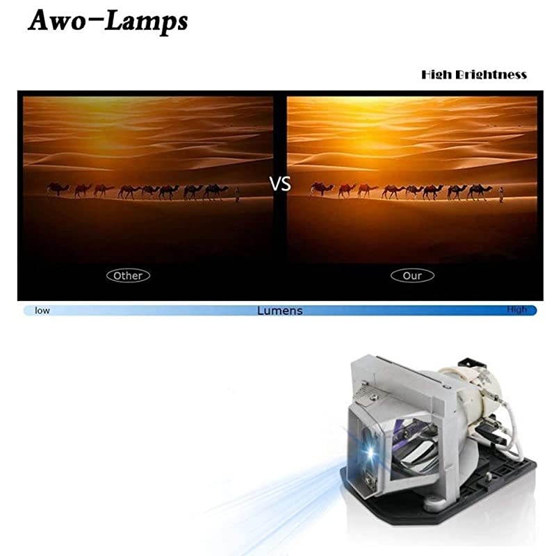 Original Projector Lamp Bulb BLFU240A SP8RU01GC01 BLFU190E SP8VC01GC01 with Housing for OPTOMA HD25eHD131XeHD131XwDH1011EH300HD131XHD25HD25LVHD2500HD30HD30BHD39DARBEE