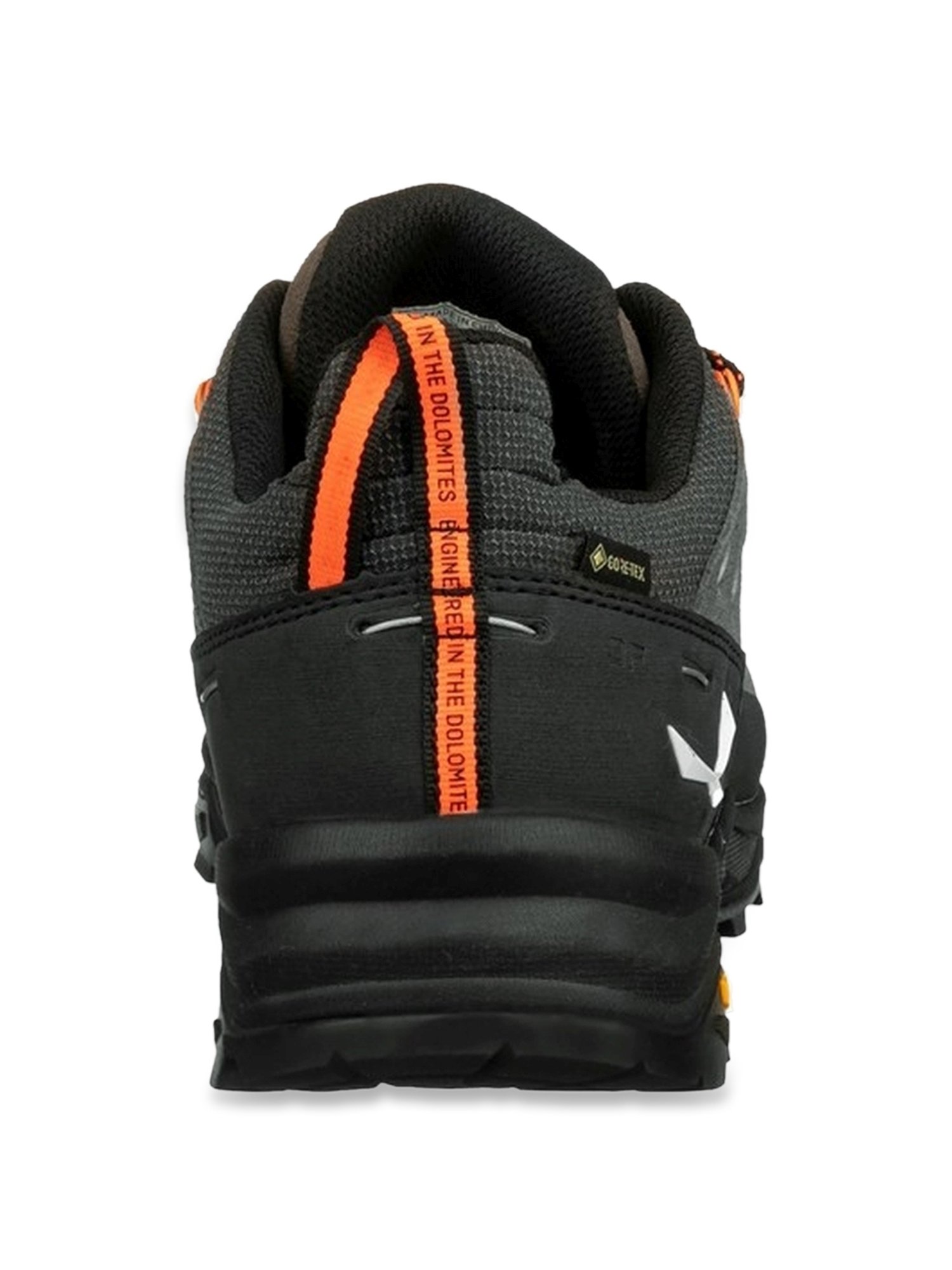 Salewa Men's ALP TRAINER 2 GTX Brown Outdoor Shoes