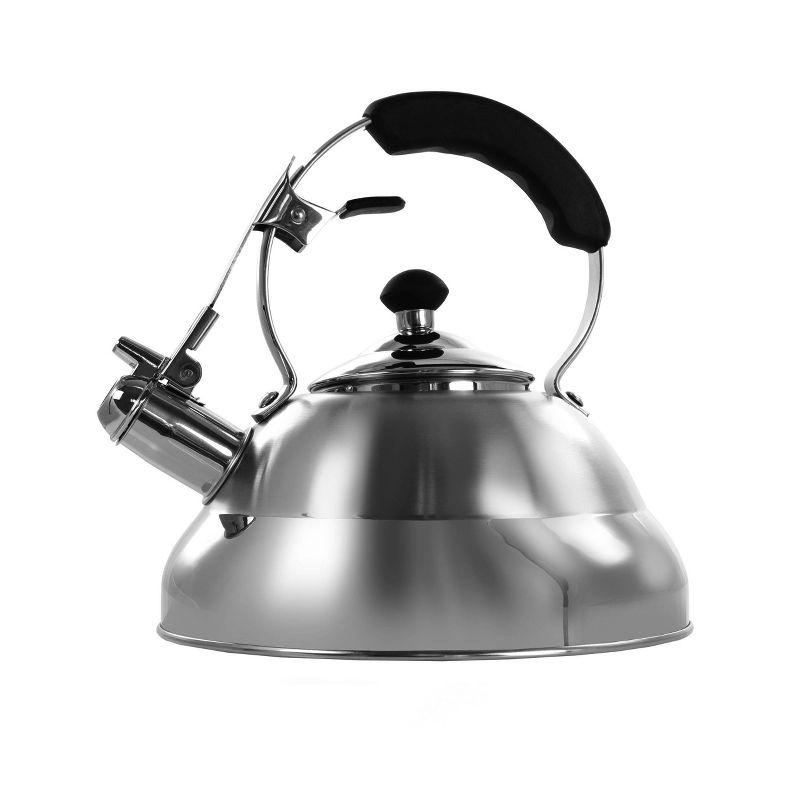 Mr. Coffee 2 Quart Stainless Steel Whistling Tea Kettle with Nylon Handle