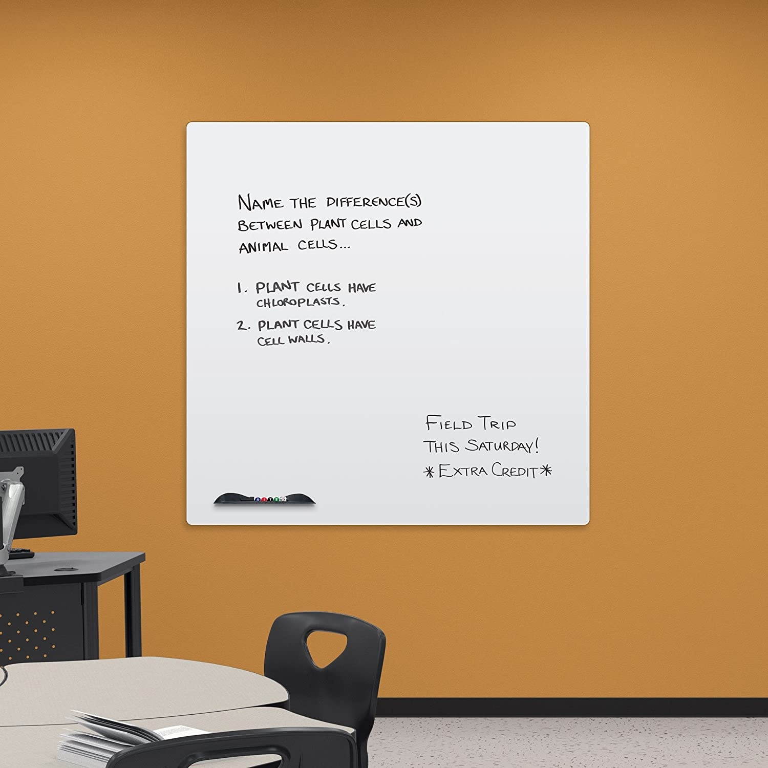 Best-Rite Elemental Magnetic Dry Erase Whiteboard Peel-n-Stick Skin, 4 x 4 Feet, White (208JD-25)