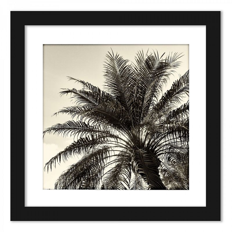 Americanflat Sepia Palm Tree - Set of 2 Framed Prints by Wild Apple