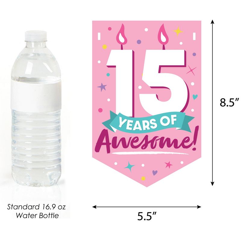 Big Dot of Happiness Girl 15th Birthday - Teen Birthday Party Bunting Banner - Party Decorations - Happy Birthday