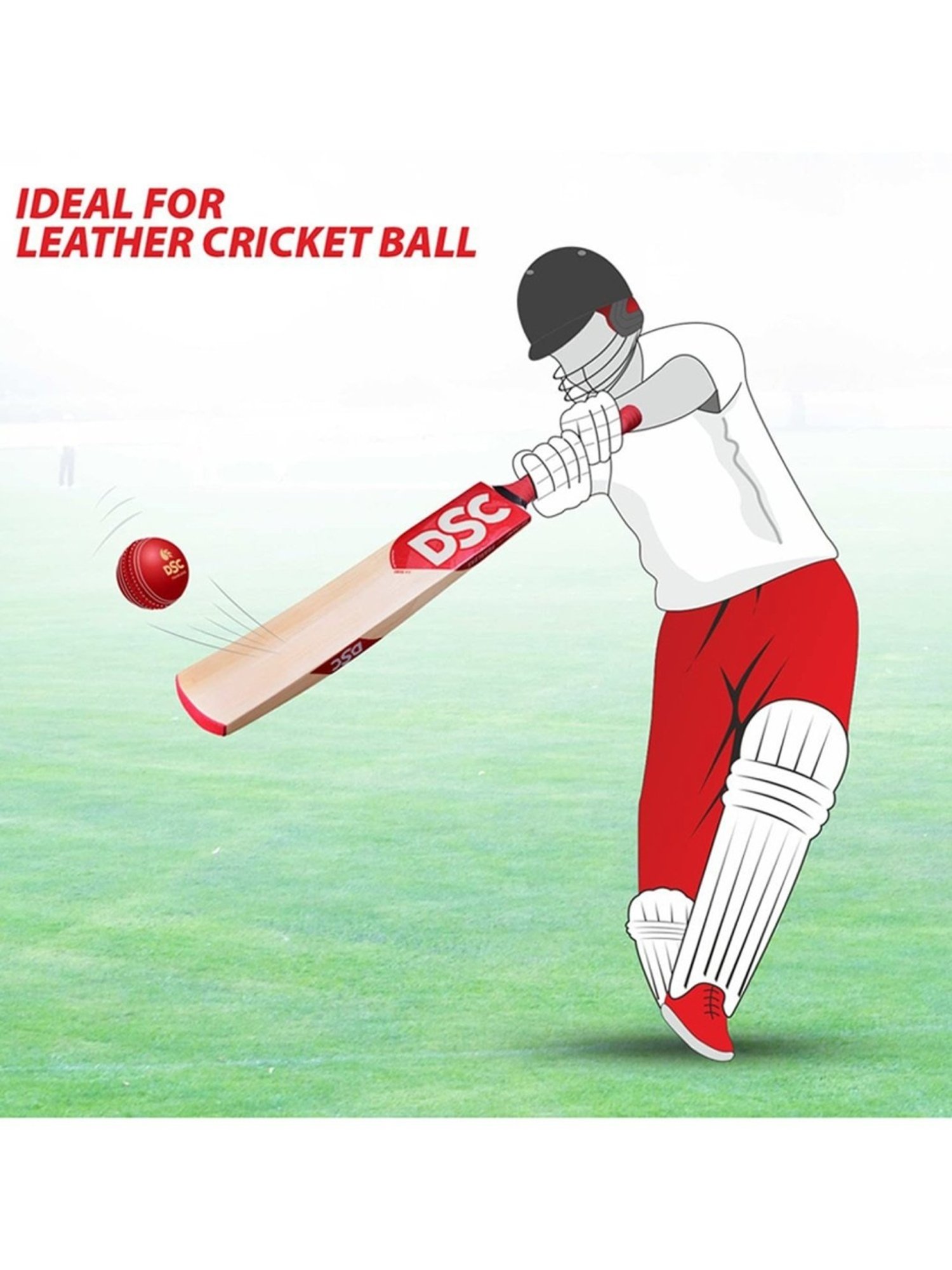 DSC IBIS 55 Kashmir Willow Cricket Bat Size - One Size