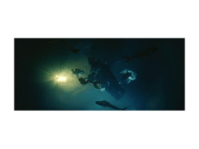 BUENA VISTA HOME VIDEO PIRATES OF THE CARIBBEAN-ON STRANGER TIDES (DVD/WS-2.40/ENG-FR-SP SUB) D106670D