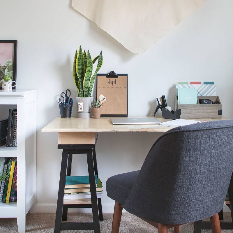 Wild Interiors 5" Sansevieria Signature Foliage in Ceramic