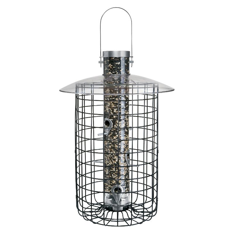 Fruit Feeder - ANCIENT GRAFFITI