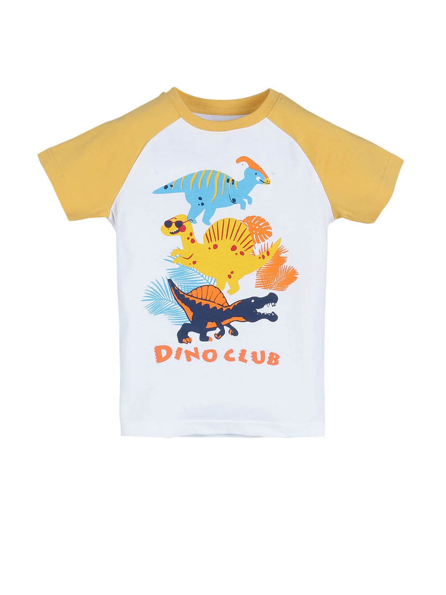 Plum Tree Kids Multicolor Printed T-Shirt (Pack Of 2)