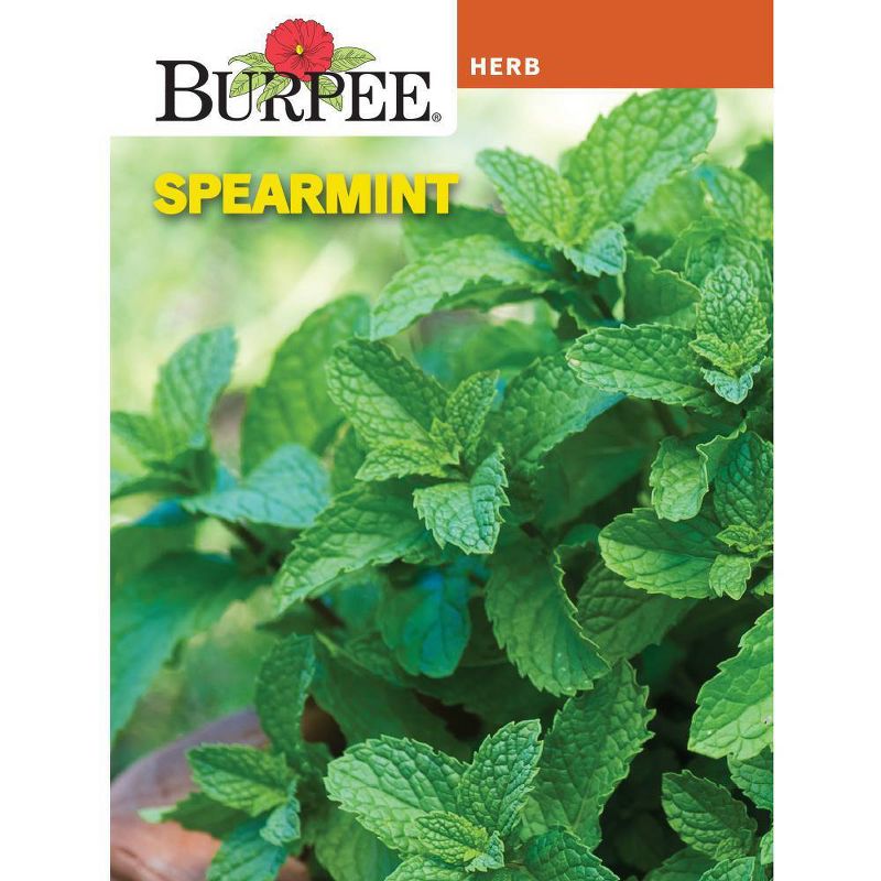 Burpee Ultimate Herb Seed Collection - 12pk