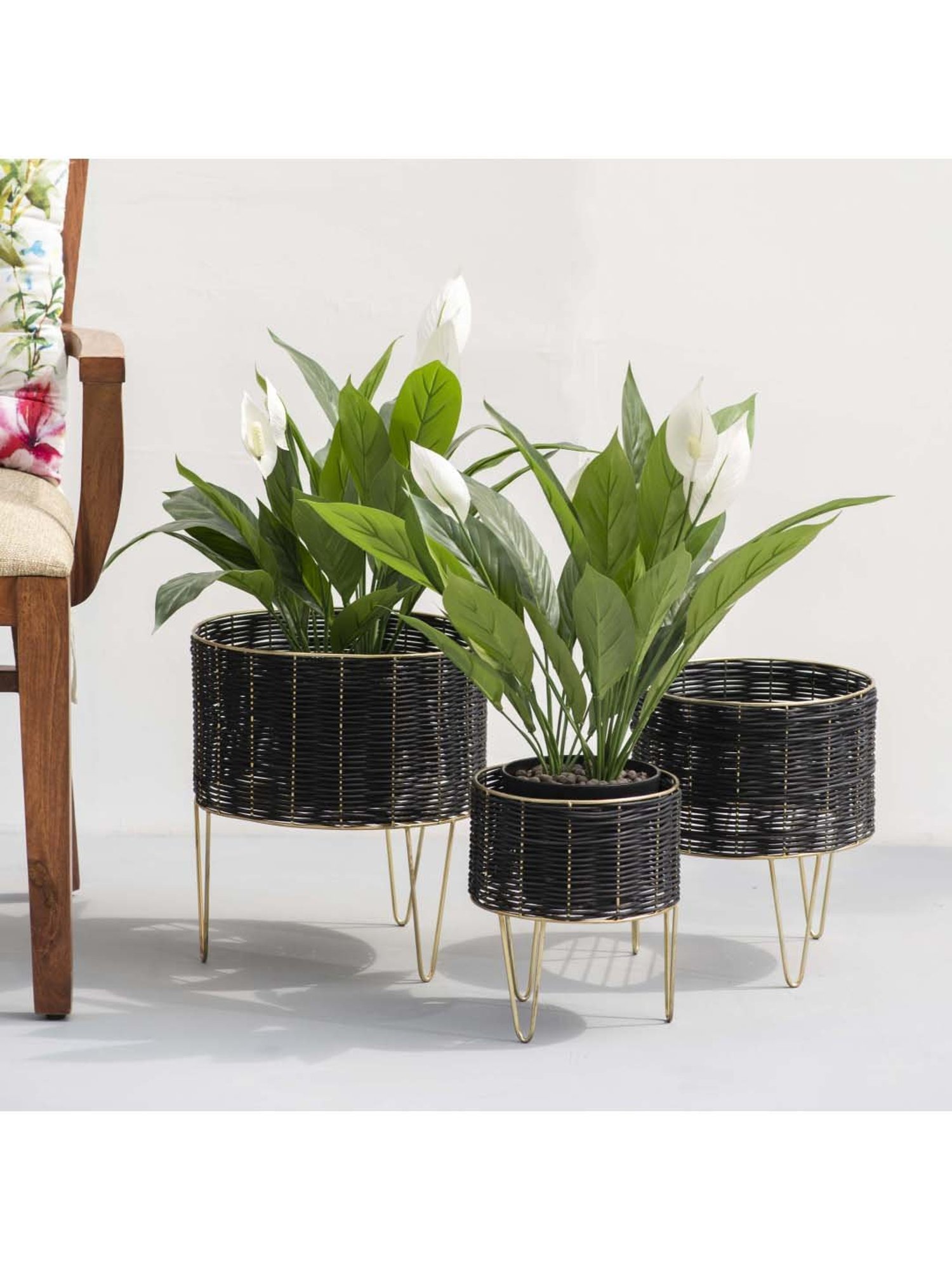 THE DECOR REMEDY Black & Gold Iron Theos Cane Planters - Set of 3