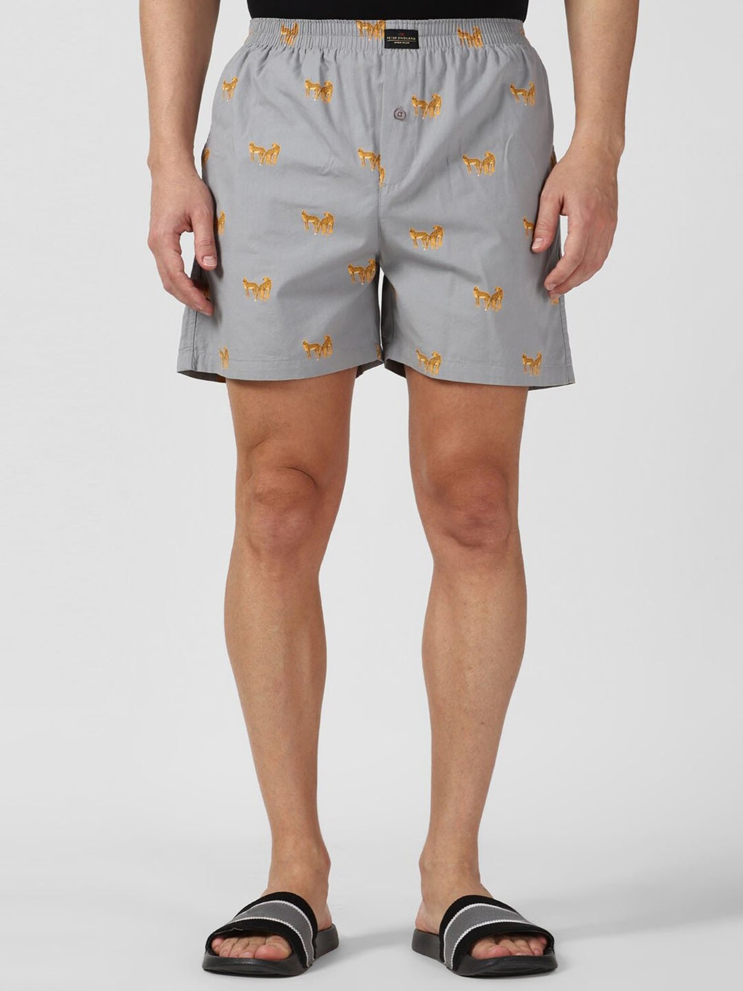 Peter England Grey Cotton Regular Fit Printed Boxers