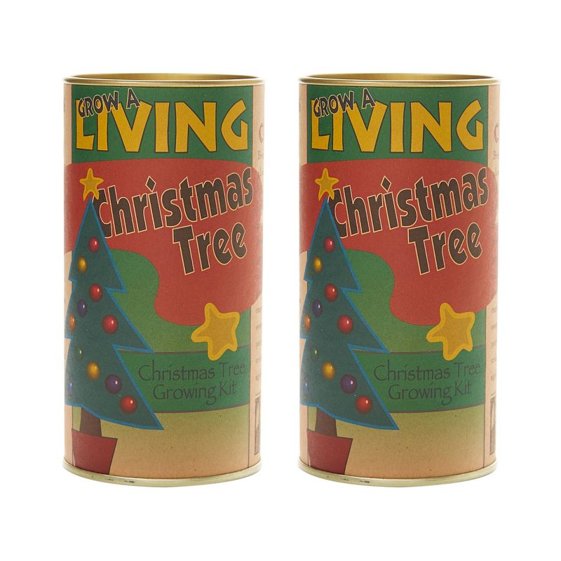 2pk Living Christmas Tree Seed Grow Kit - Balsam Fir - The Jonsteen Company