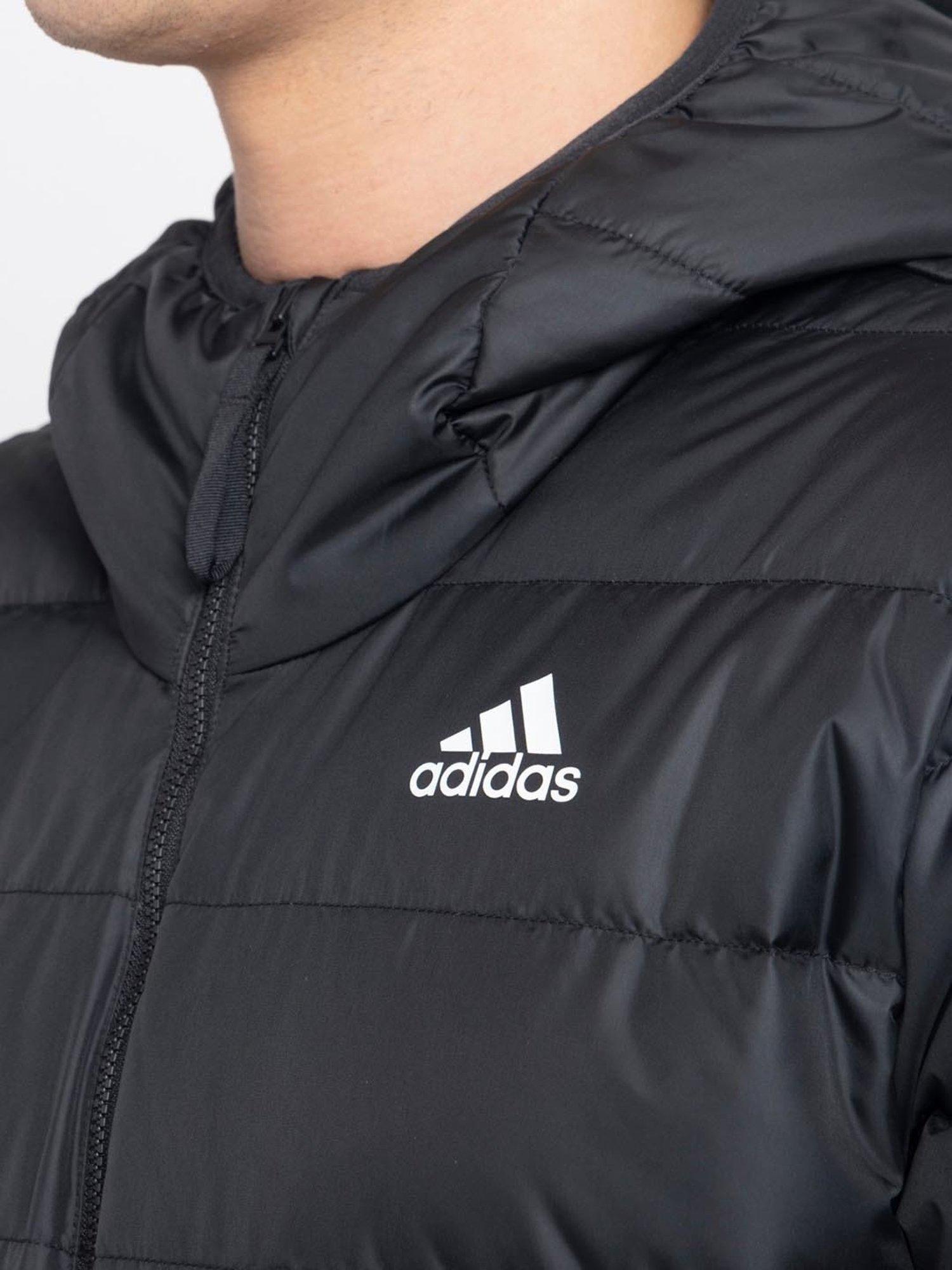 Slowave Teal Regular Fit Sports Hooded Jacket