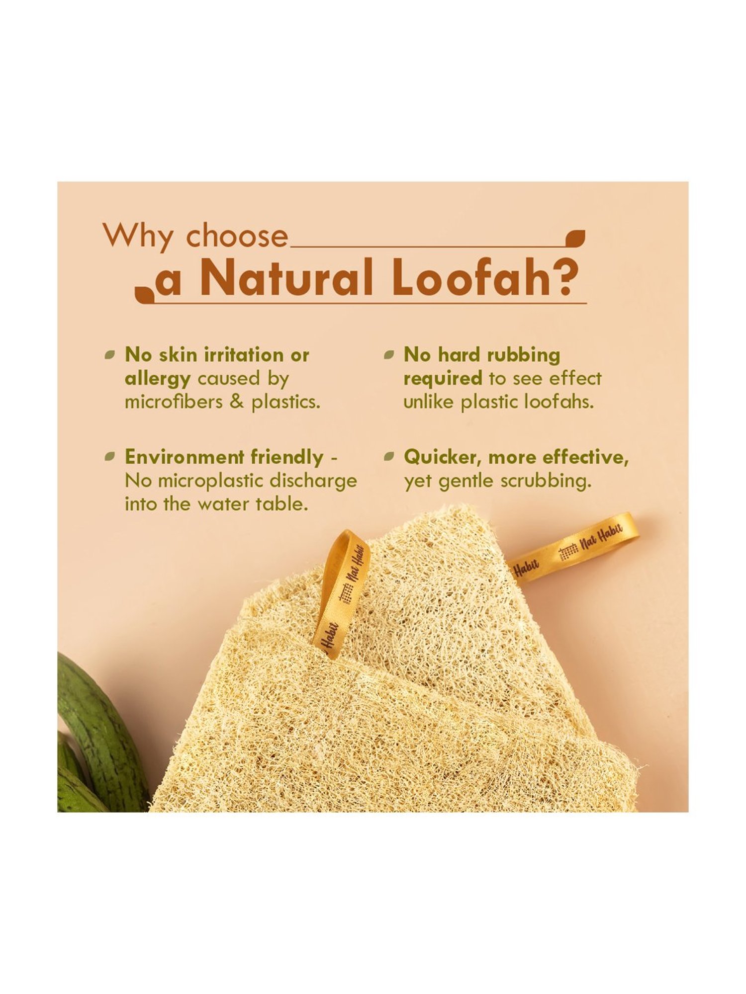 Shae Ginger Detox Body Wrap - 75 gm