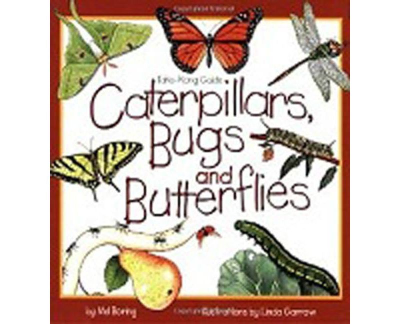 Caterpillars, Bugs and Butterflies - (Take-Along Guides) by Mel Boring (Paperback)