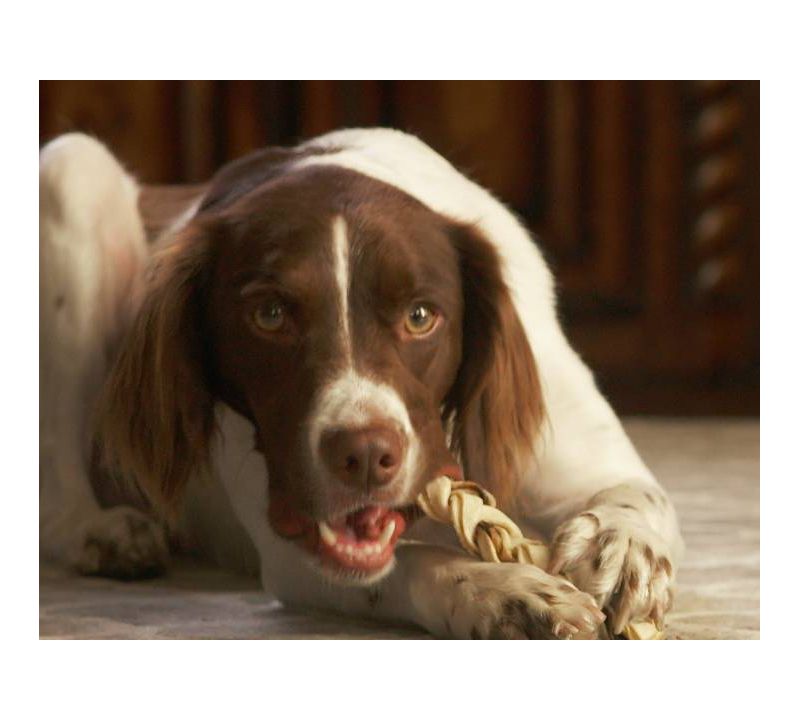 Buffalo Range Jerky Braids Smoked Dog Treats - 20ct