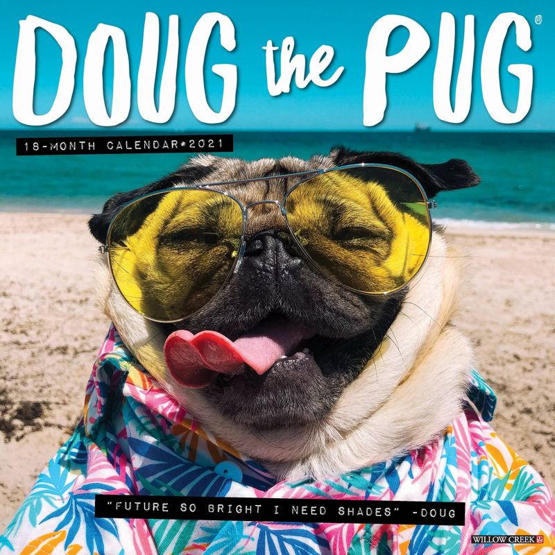 2021 Monthly Wall Calendar Doug the Pug - Willow Creek Press