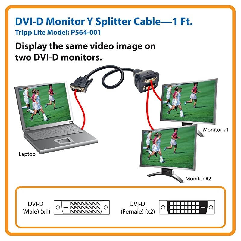 DVI Y Splitter Cable Digital Monitors DVID M to 2x F 1ft P564001