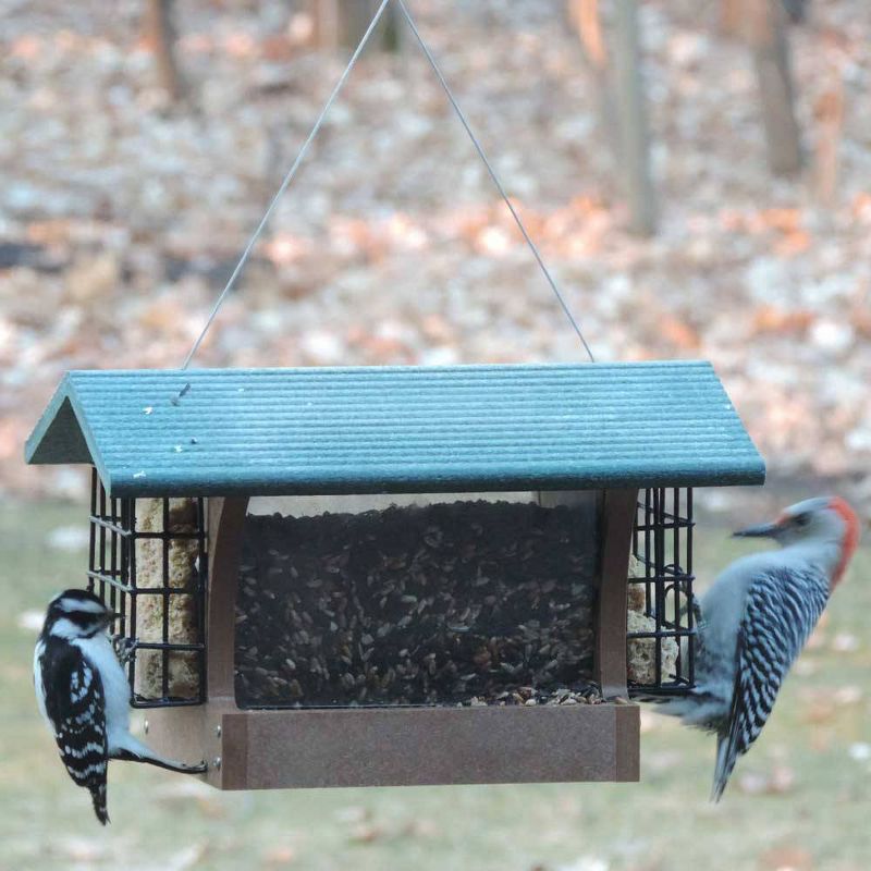 Birds Choice Cage Feeder with Base and Roof Top Bird Feeder
