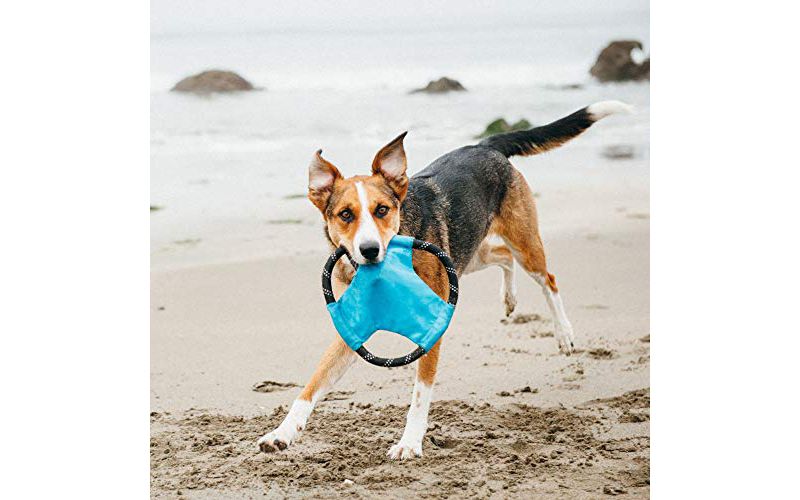 NERF Blitz Squeak Football Dog Toy - Green - 7"