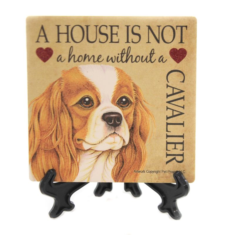 Animal 4.0" Cavalier - Home Cork Back Coaster Easel Sjt Enterprises  -  Coasters