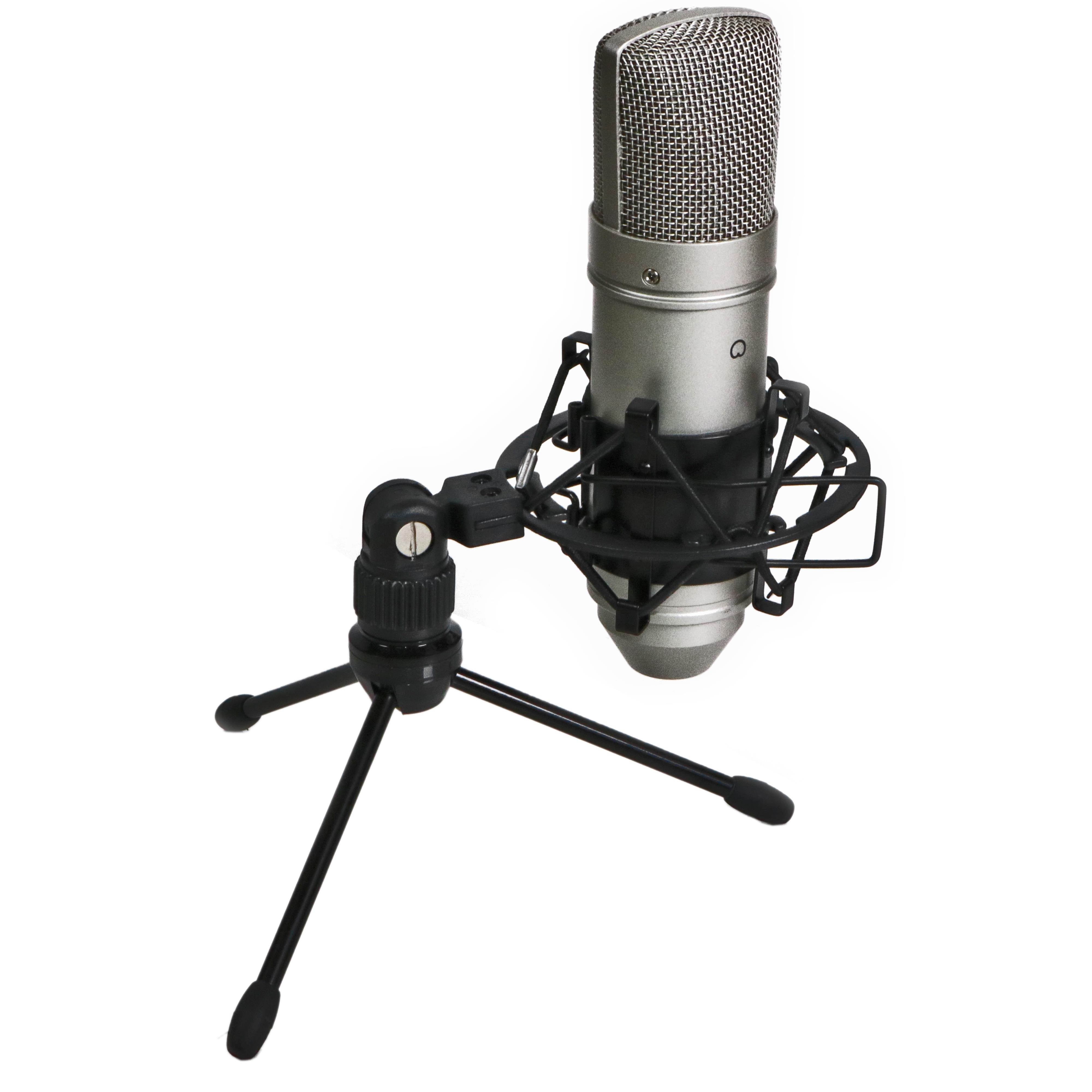 Tascam TM-80 Large Diaphagm Condenser Studio Microphone w/ Shock Mount & Tripod