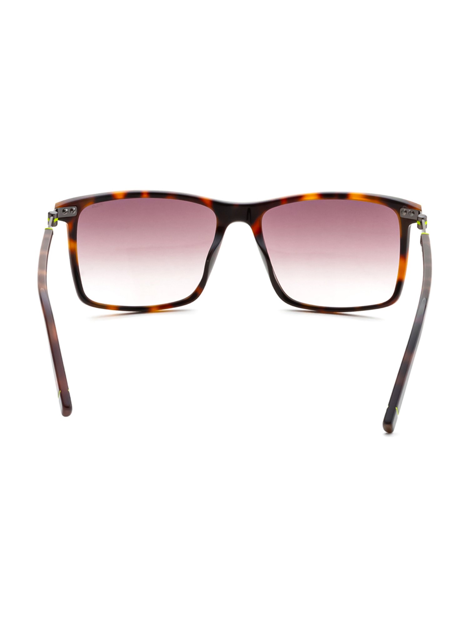 Fila Burgundy Square UV Protection Sunglasses for Men