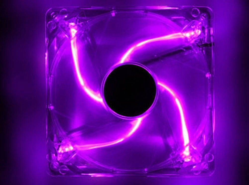 Tripp Lite P018-003 3ft 14AWG Power Cord Heavy Duty