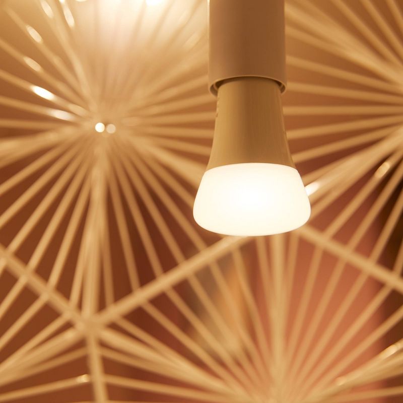 Philips Hue 2pk A19 LED Starter Kit with Bridge White