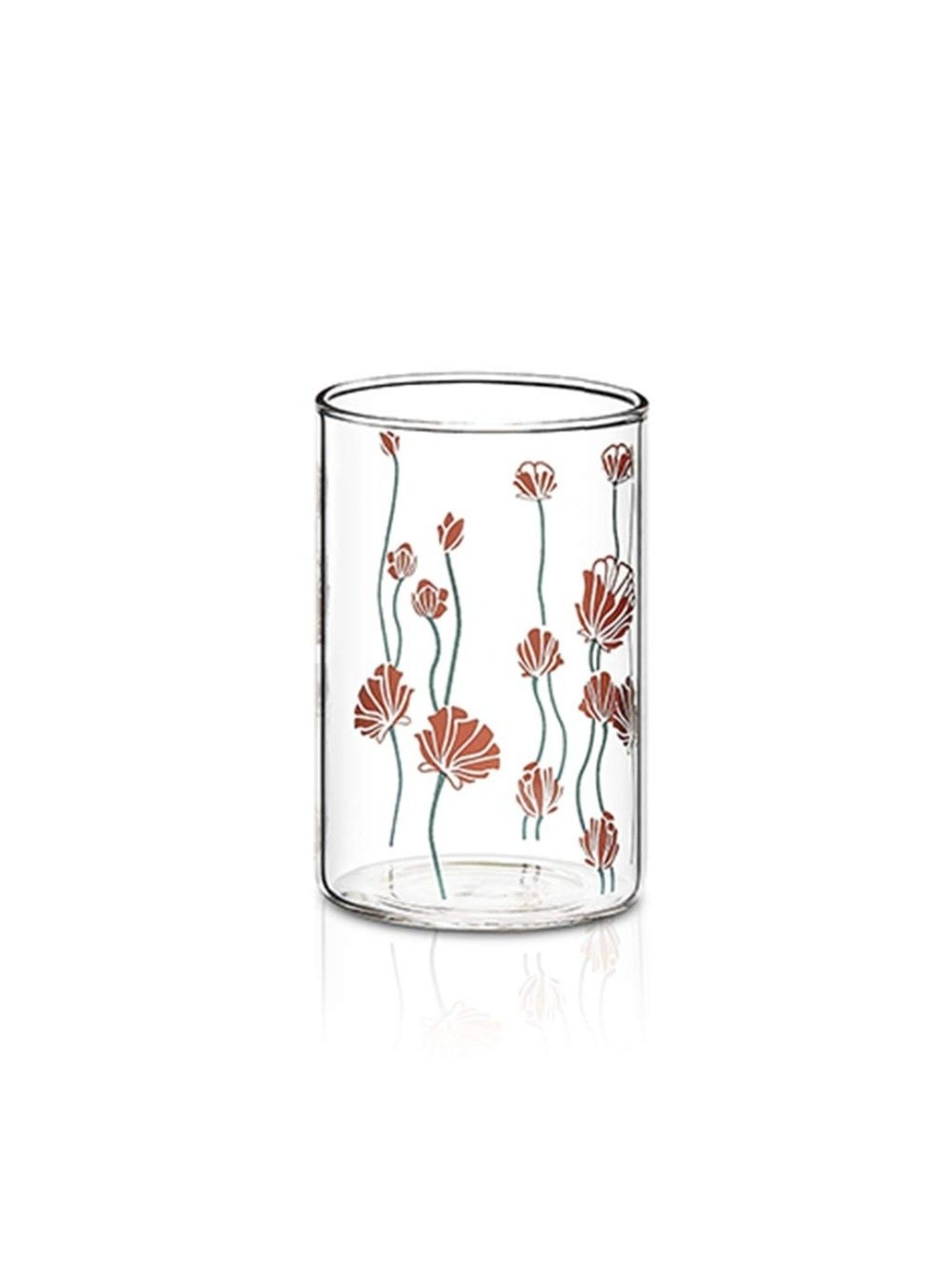 Borosil Transparent Glass Everyday Glasses - Set of 6 (295ml)