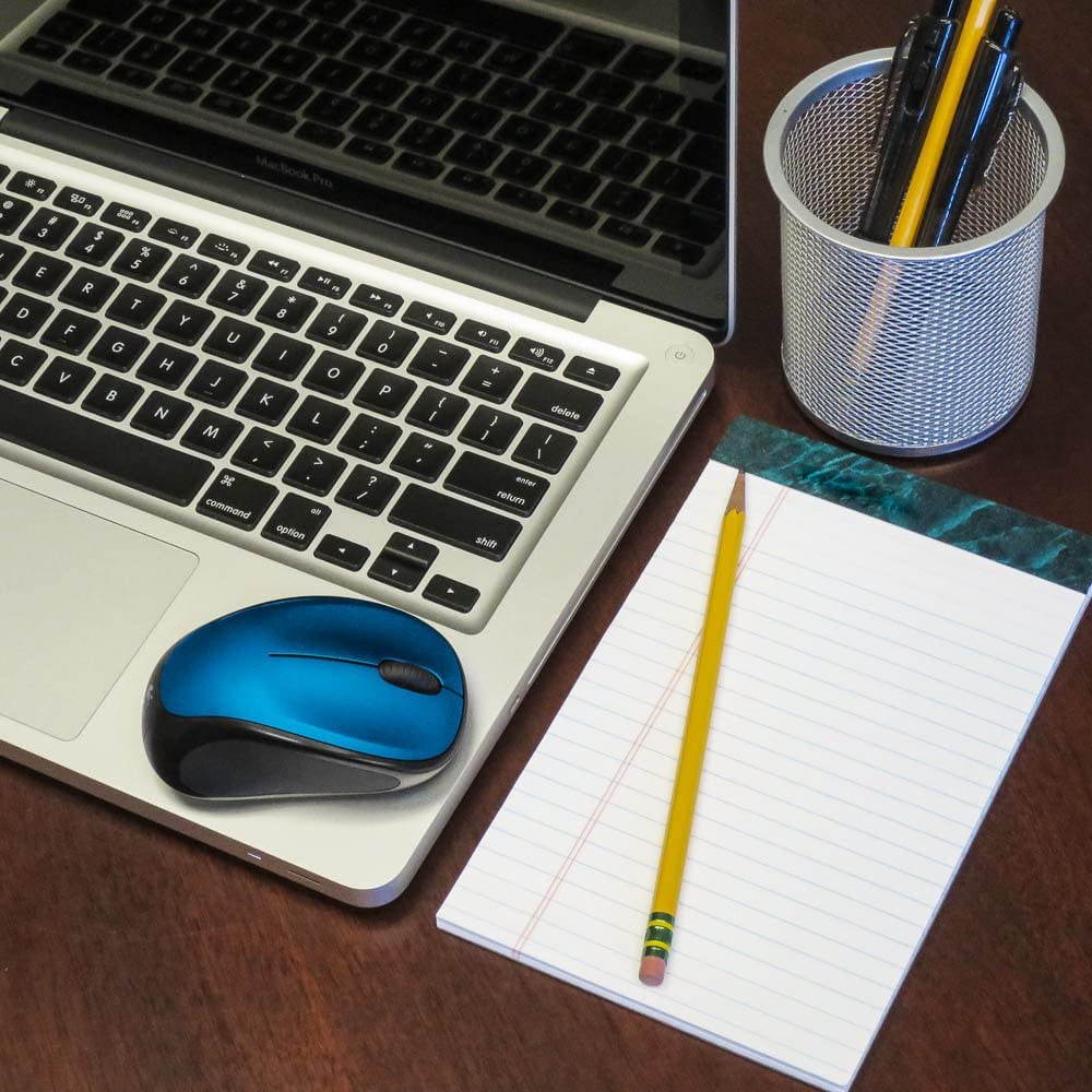 Logitech Wireless USB Mouse M317 - Blue