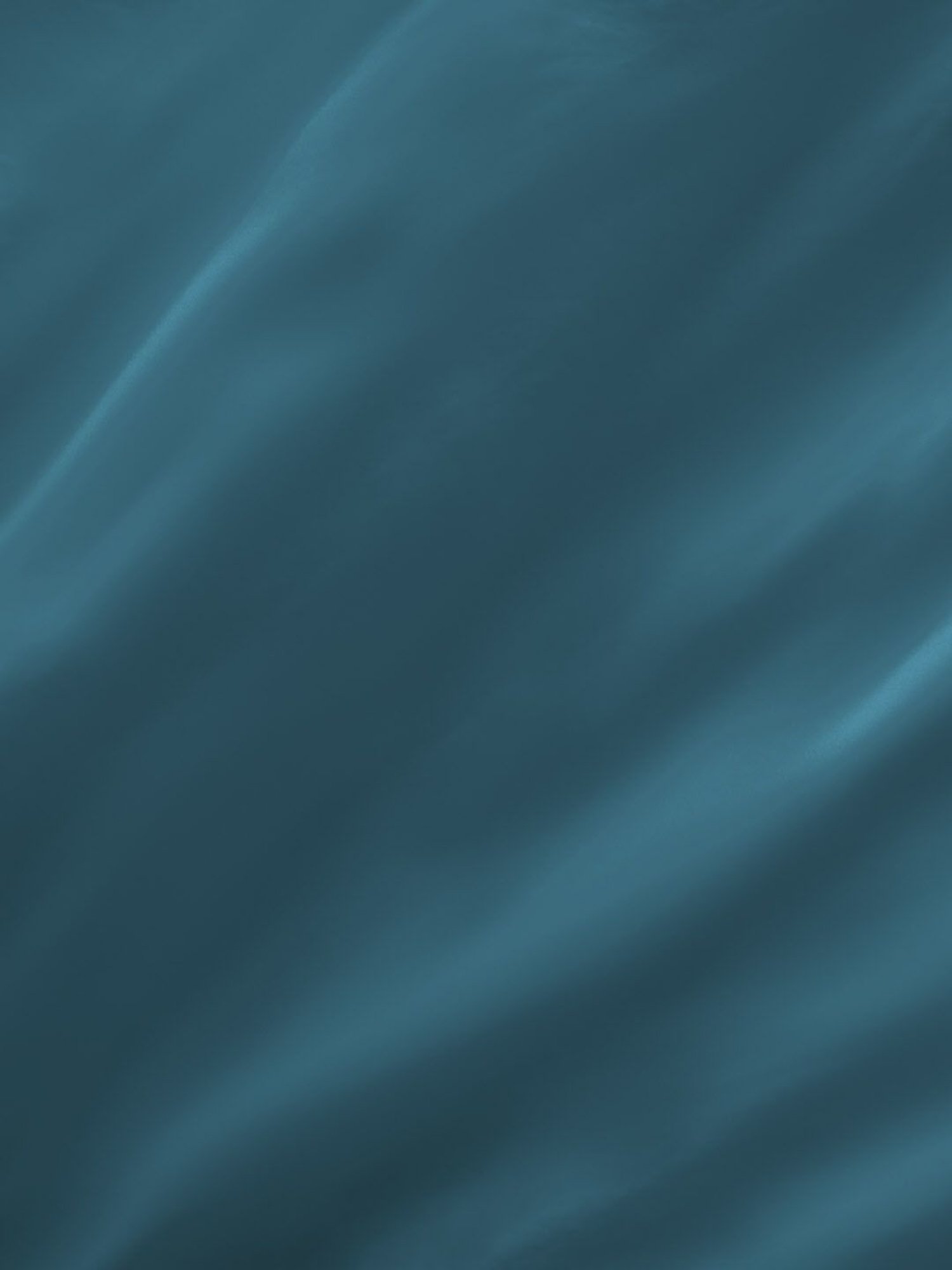 Boutique Living Kalpavriksha Printed Blue 300 TC Cotton King Bed Sheet with 2 Pillow Covers