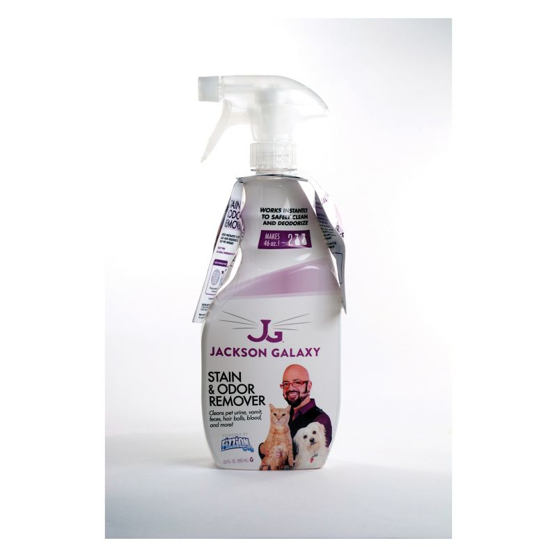 BISSELL 22 floz Oxy Stain Destroyer Pet For Carpet and Upholstery