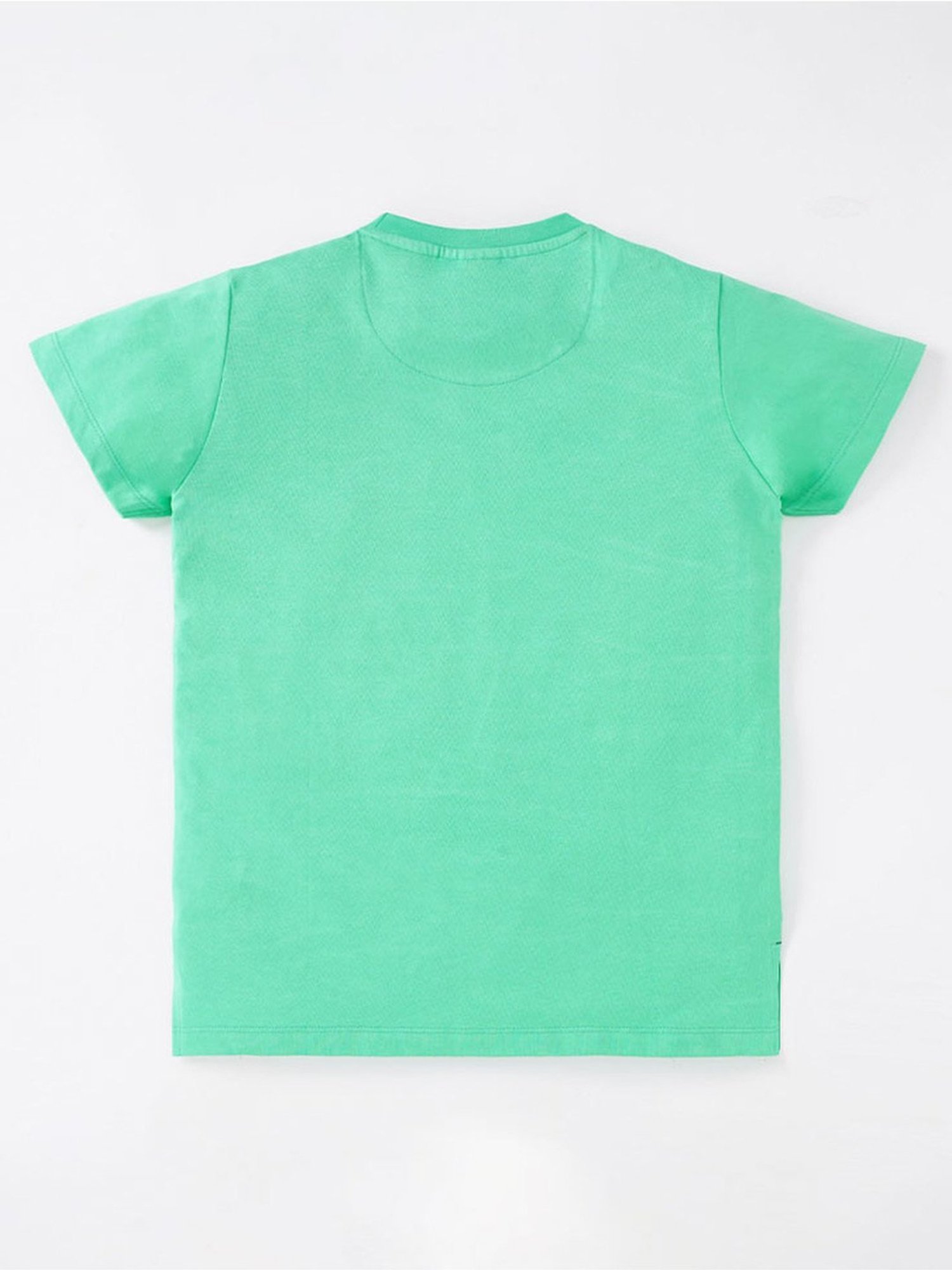Edheads Boys Green Cotton Ombre T-Shirt