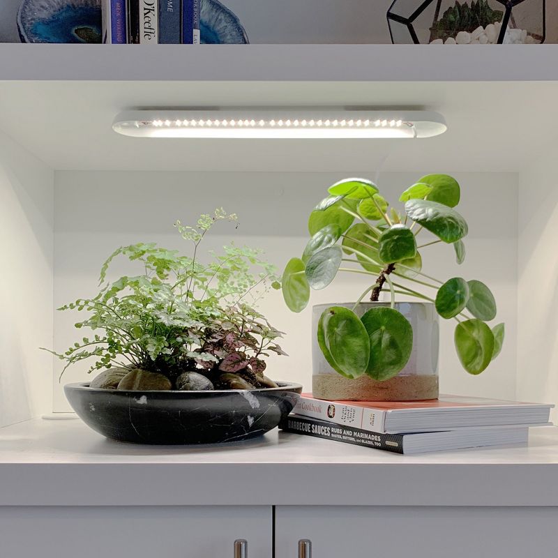 6' x 8' x 7' Nature Greenhouse Forest Green - Palram