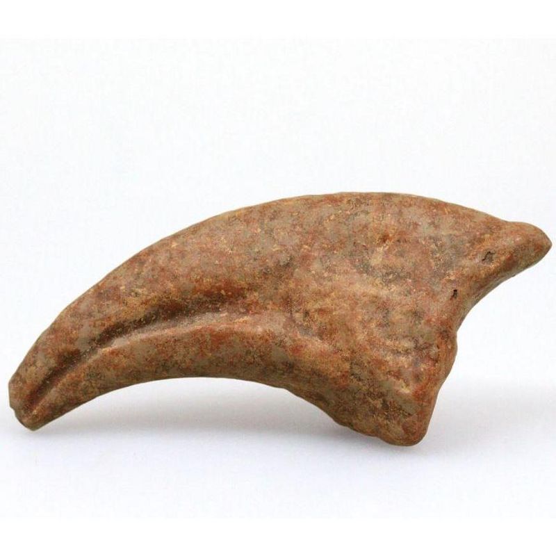 Master Replicas Smithsonian T-Rex Claw Full-Scale Resin Fossil Replica