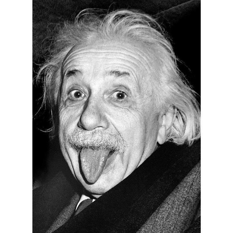 Eurographics Inc. Einstein Tongue 1000 Piece Jigsaw Puzzle