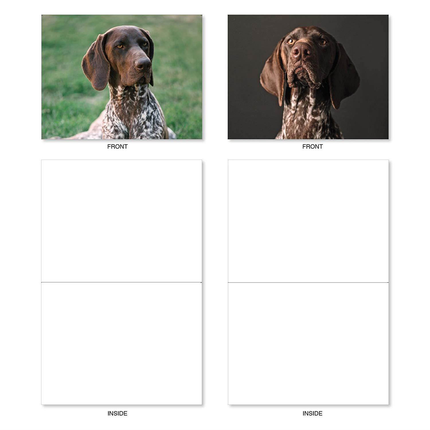Playful Pointers - 10 Assorted Blank Note Cards with Envelopes (4" x 5-1/8") - Adorable German Shorthaired Dog Breed All-Occasion Greeting Cards - Puppy & Animal Notecard Stationery #AM6297OCB-B1x10