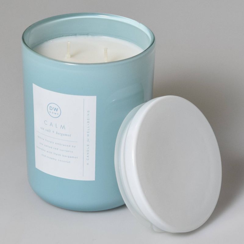 16oz Wellness Spa/Calm Sea Salt and Bergamot Candle - DW Home