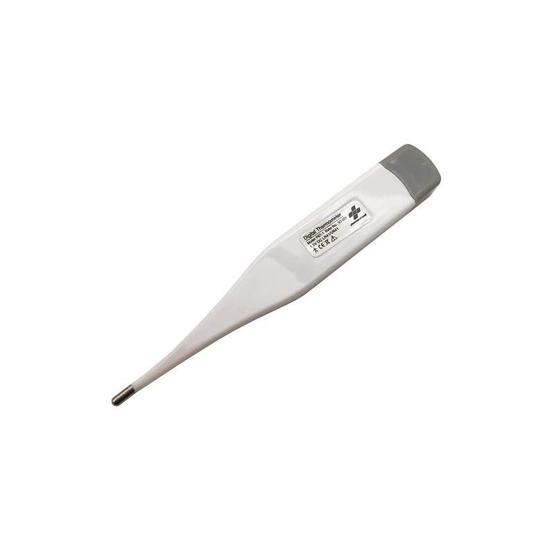 Packard Bell Digital Thermometer