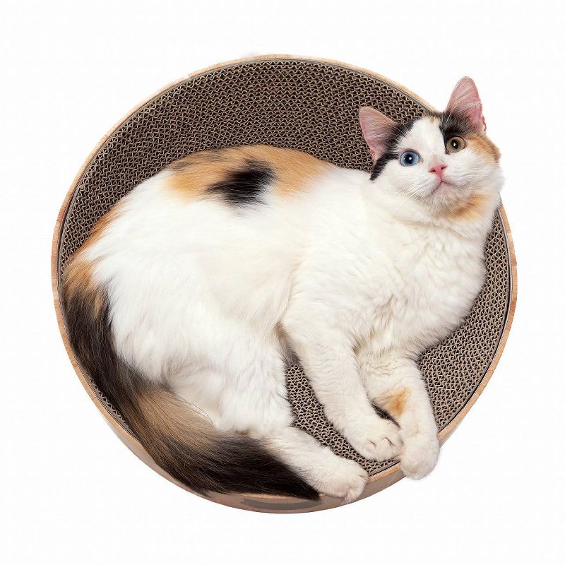 PETKIT Flying Fish Cat Scratcher - White/Blue