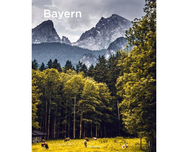 Beasts of Prey - by  Ayana Gray (Hardcover)