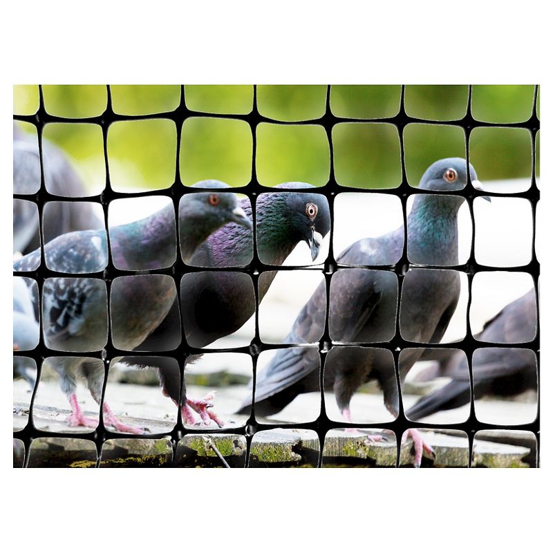 100'x14' Standard Bird Netting - Bird-X