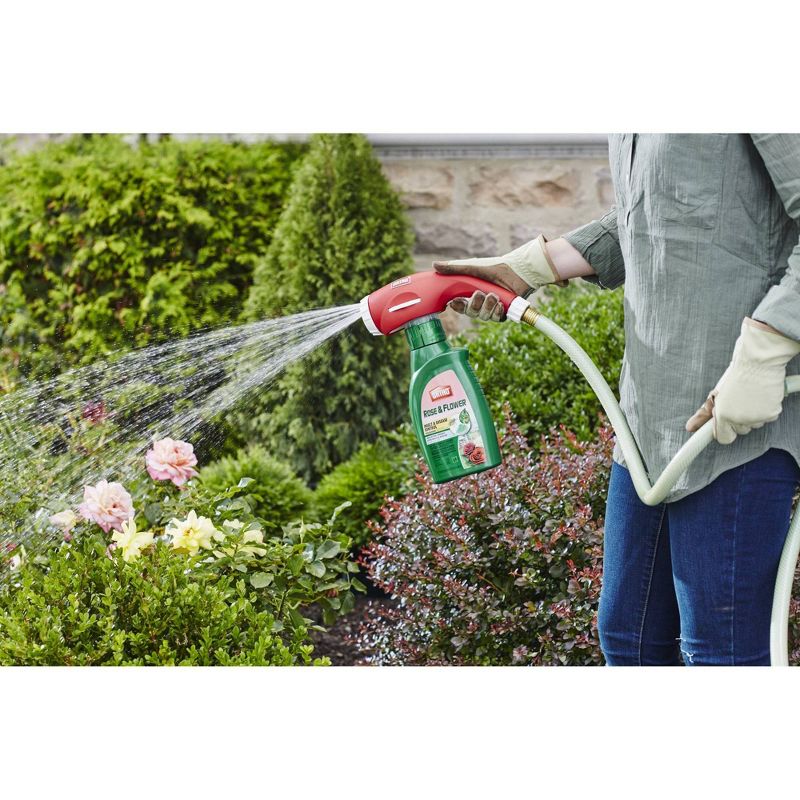 Ortho Rose & Flower Disease Control Concentrate