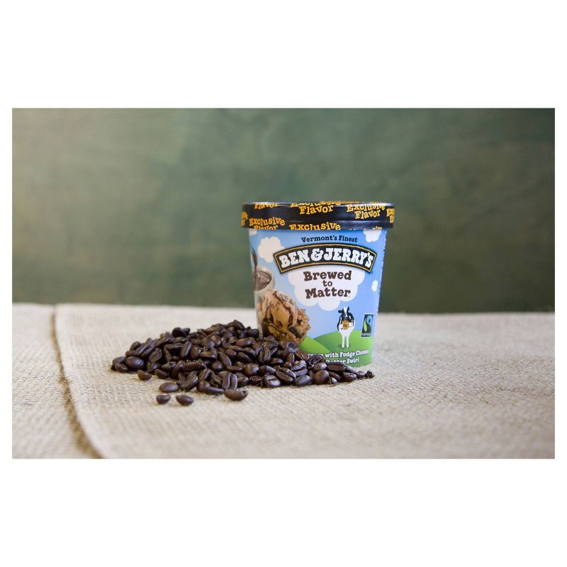 Ben & Jerry's Brewed to Matter Ice Cream - 16oz