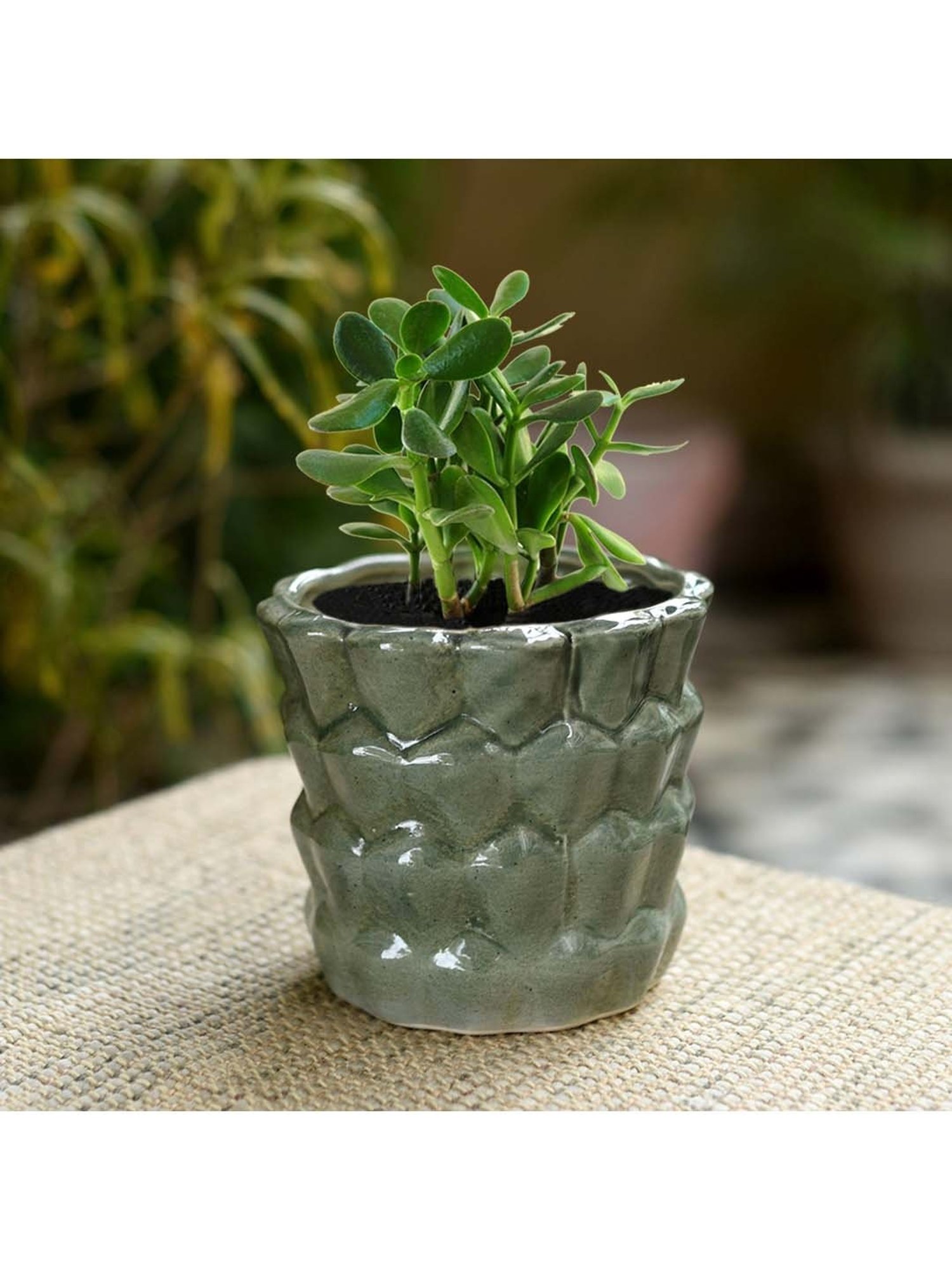 Unravel India Grey & Pink Ceramic Glazed Table Top Planter - Set of 1