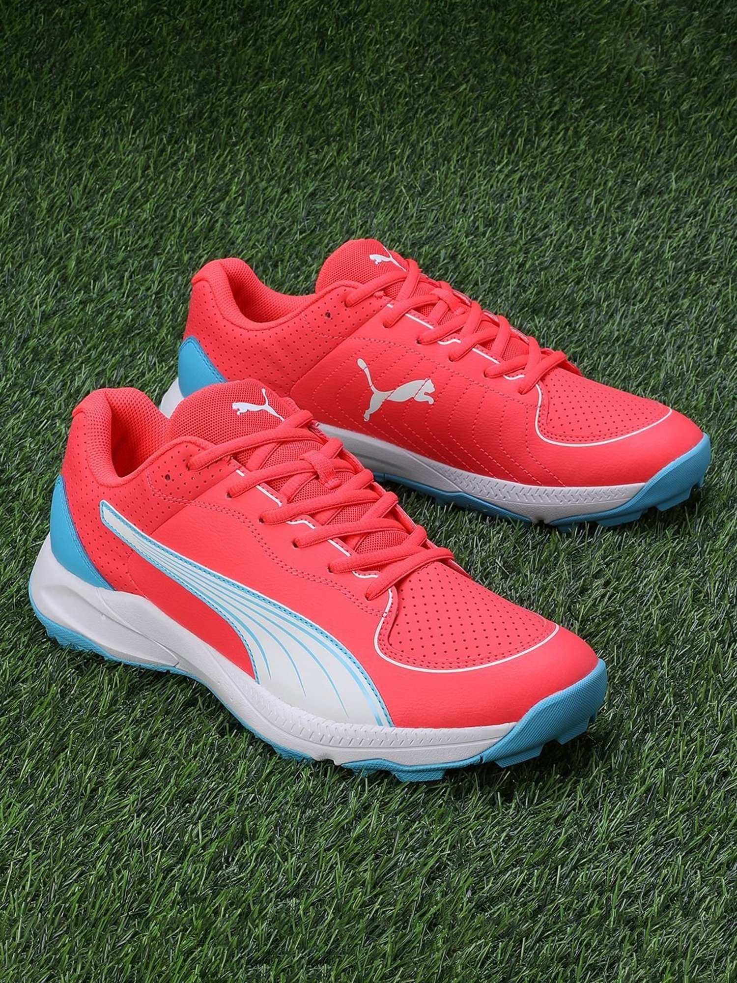 Puma Men's 24 FH Fire Orchid Cricket Shoes